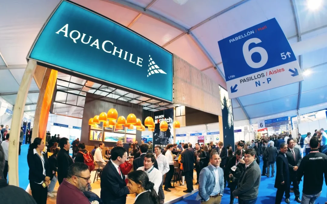 Aqua Sur Chile + Imenco | Testimonios Directivos 2026